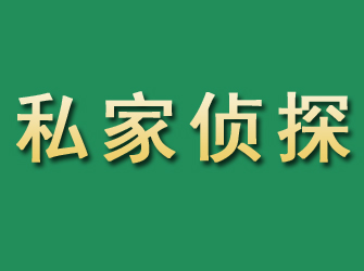 九里市私家正规侦探