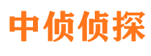 九里市私家侦探